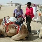 Simply Amazing: Reversal of fortune