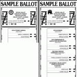 Vote 2010: Runoff election preview