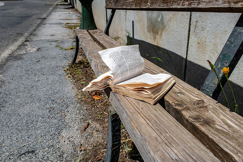 abandoned book