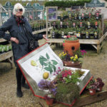 #sundayread for February 4, 2018