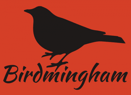 Birdmingham T-shirt