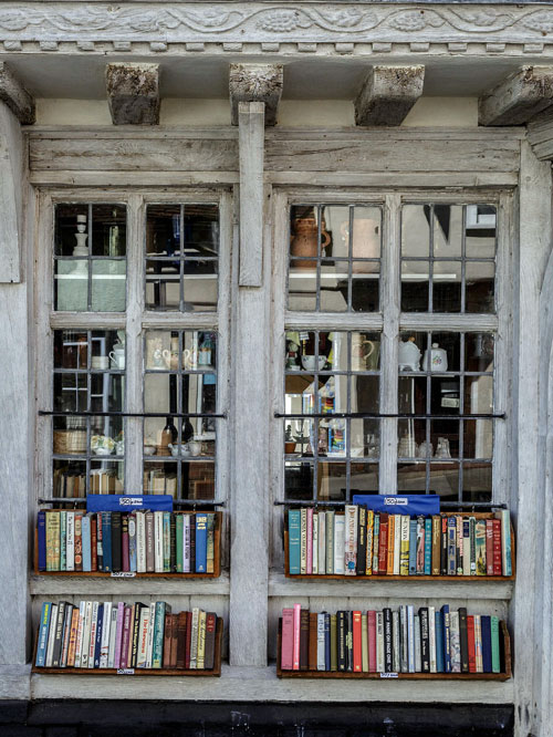 books in old window