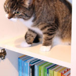 #sundayread for January 7, 2018