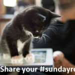 #sundayread for Nov. 2, 2014