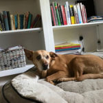 #sundayread for May 6, 2018