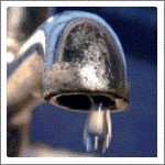 Heads and tales: All wet