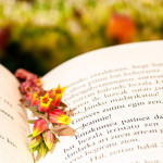 #sundayread for Aug. 2, 2015