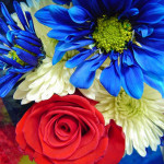 Independence Day weekend activities around Birmingham and Alabama