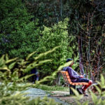 #sundayread for May 14, 2017