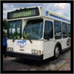 Heads and tales: On the road again