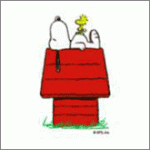 Heads and tales: Making progress