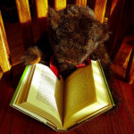 #sundayread for Nov. 30, 2014