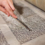 #sundayread for January 13, 2019