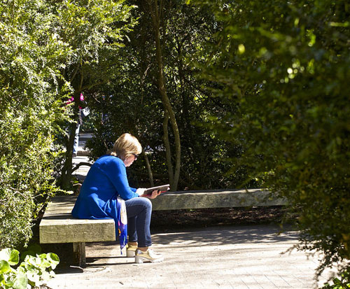 woman on bench reading