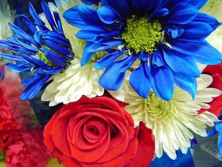 Independence Day flowers